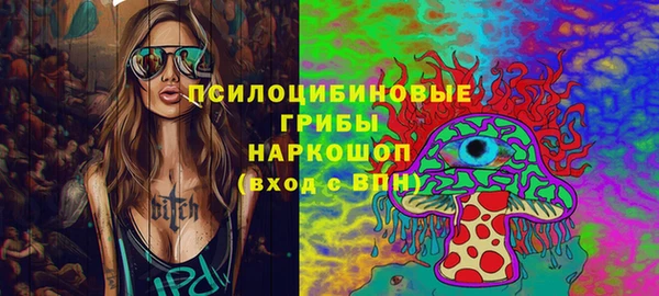 сатива Арсеньев
