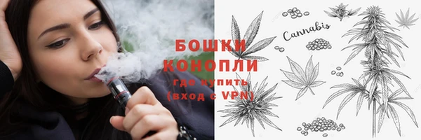 сатива Арсеньев