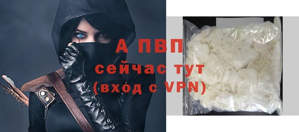 шишки Армянск