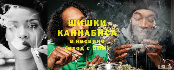 сатива Арсеньев