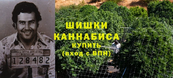 шишки Армянск