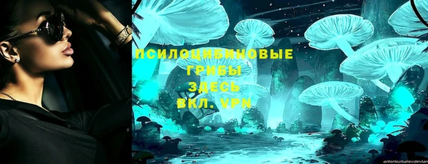 сатива Арсеньев