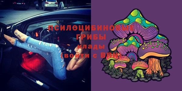 шишки Армянск