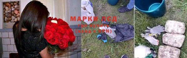 шишки Армянск