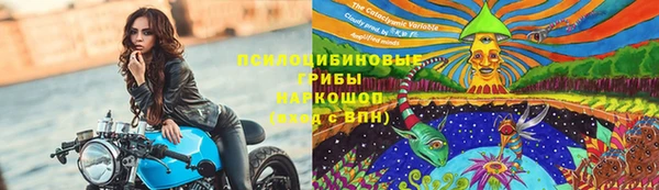 сатива Арсеньев