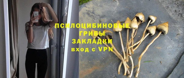 шишки Армянск