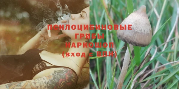 шишки Армянск