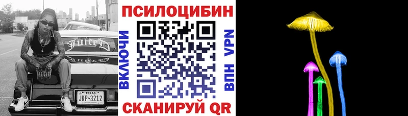 Псилоцибиновые грибы Psilocybine cubensis  Саров 